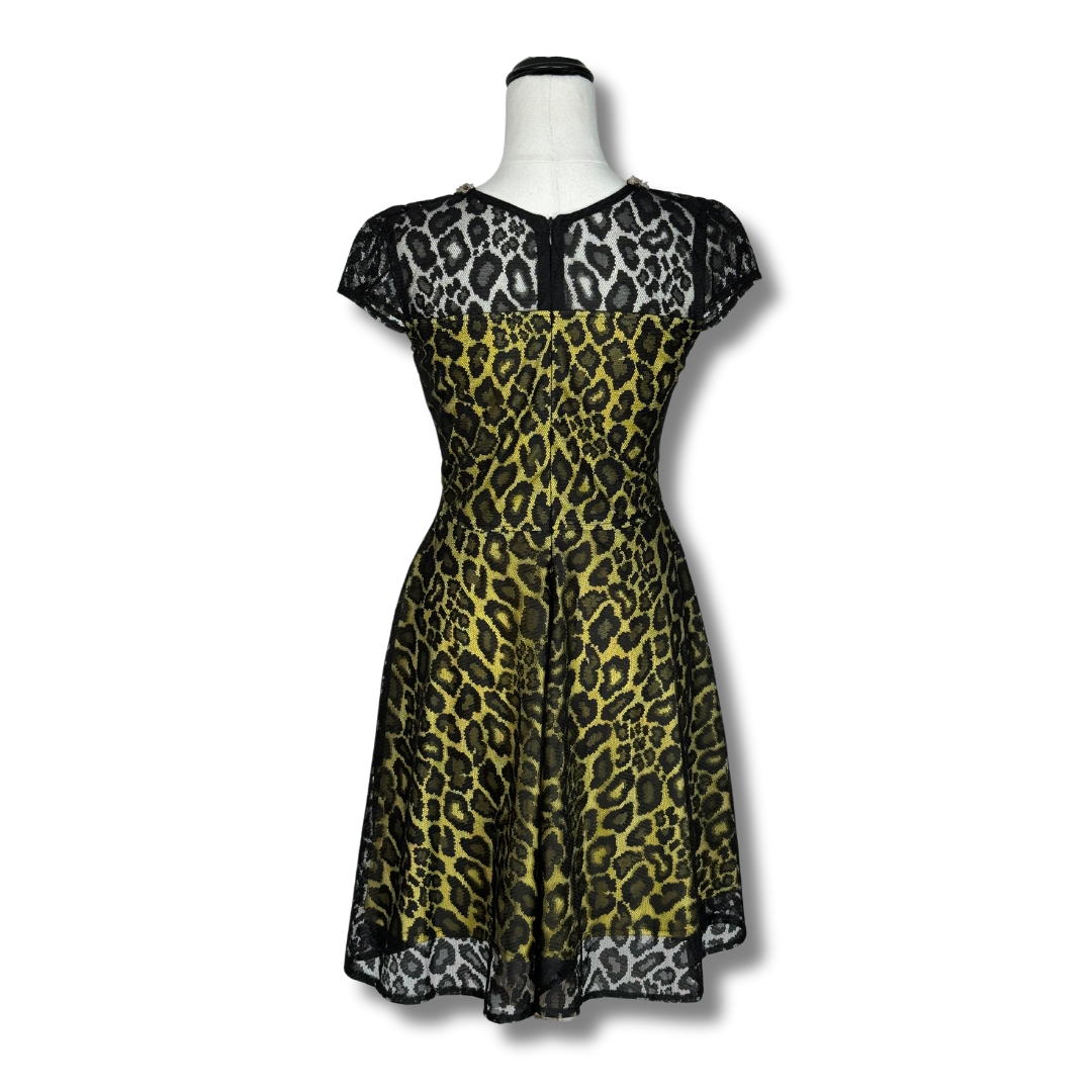 Zara Woman Leopard print retro dress