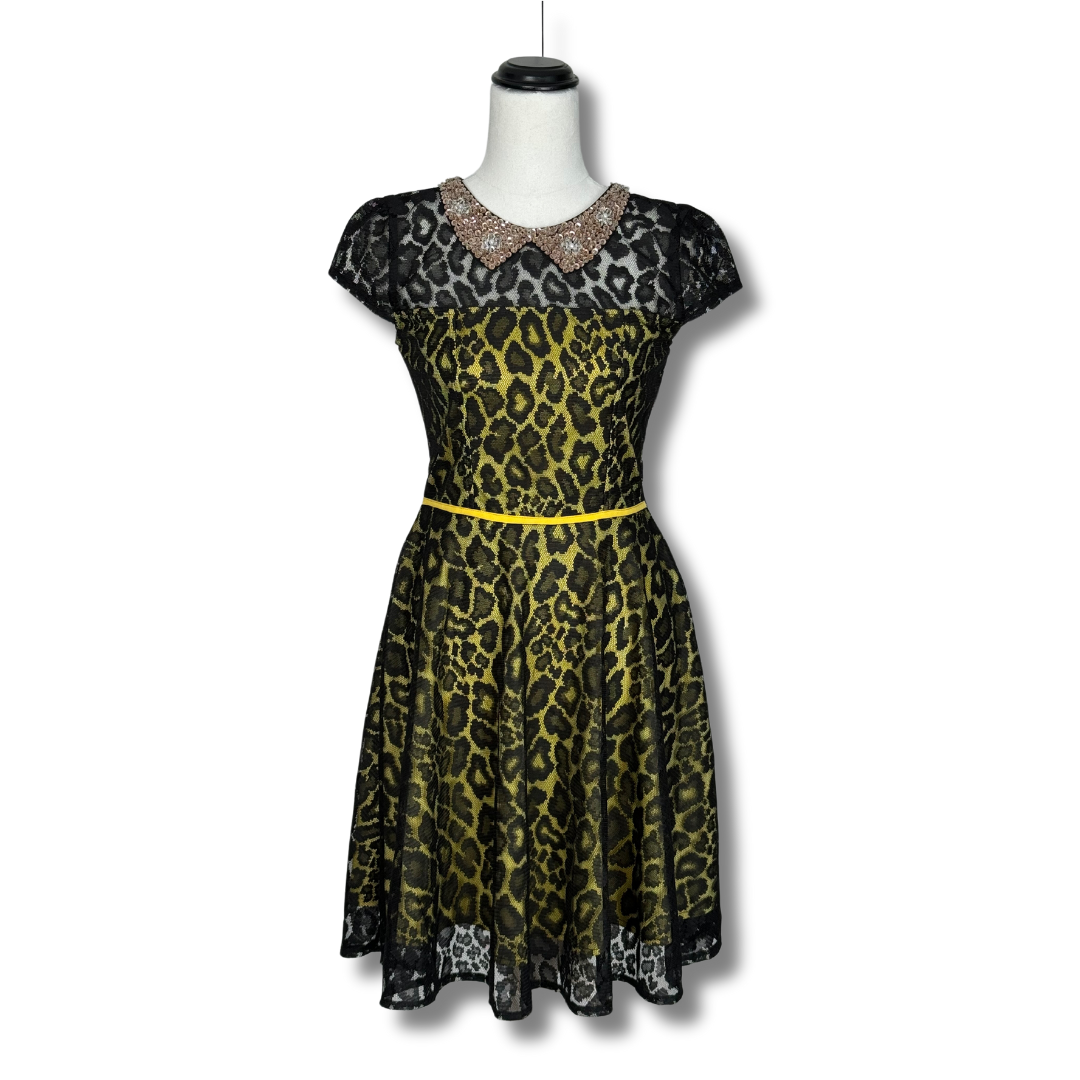 Zara Woman Leopard print retro dress